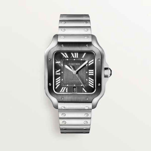 SANTOS GRAY 39.8mm