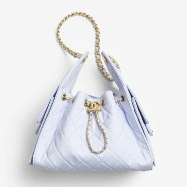 CHANEL 25 Small Handbag